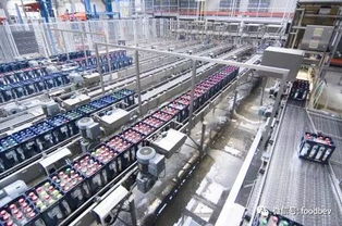 40張世界級工廠5S管理圖集 餐飲管理實用指南