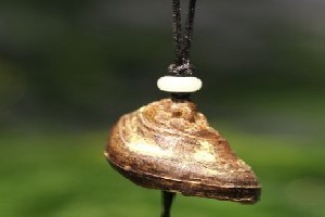 海灘驚現(xiàn)怪獸尸體掛件_天然沉香掛件廠家供應(yīng)_買廠家供批發(fā)價(jià)格_歸于真(廈門)文化藝術(shù)-展銷頻道